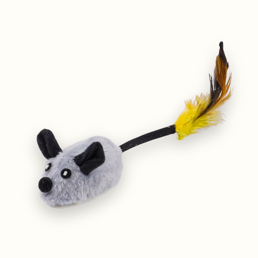 Chirpster - Interactief Chirpend Kattenspeeltje