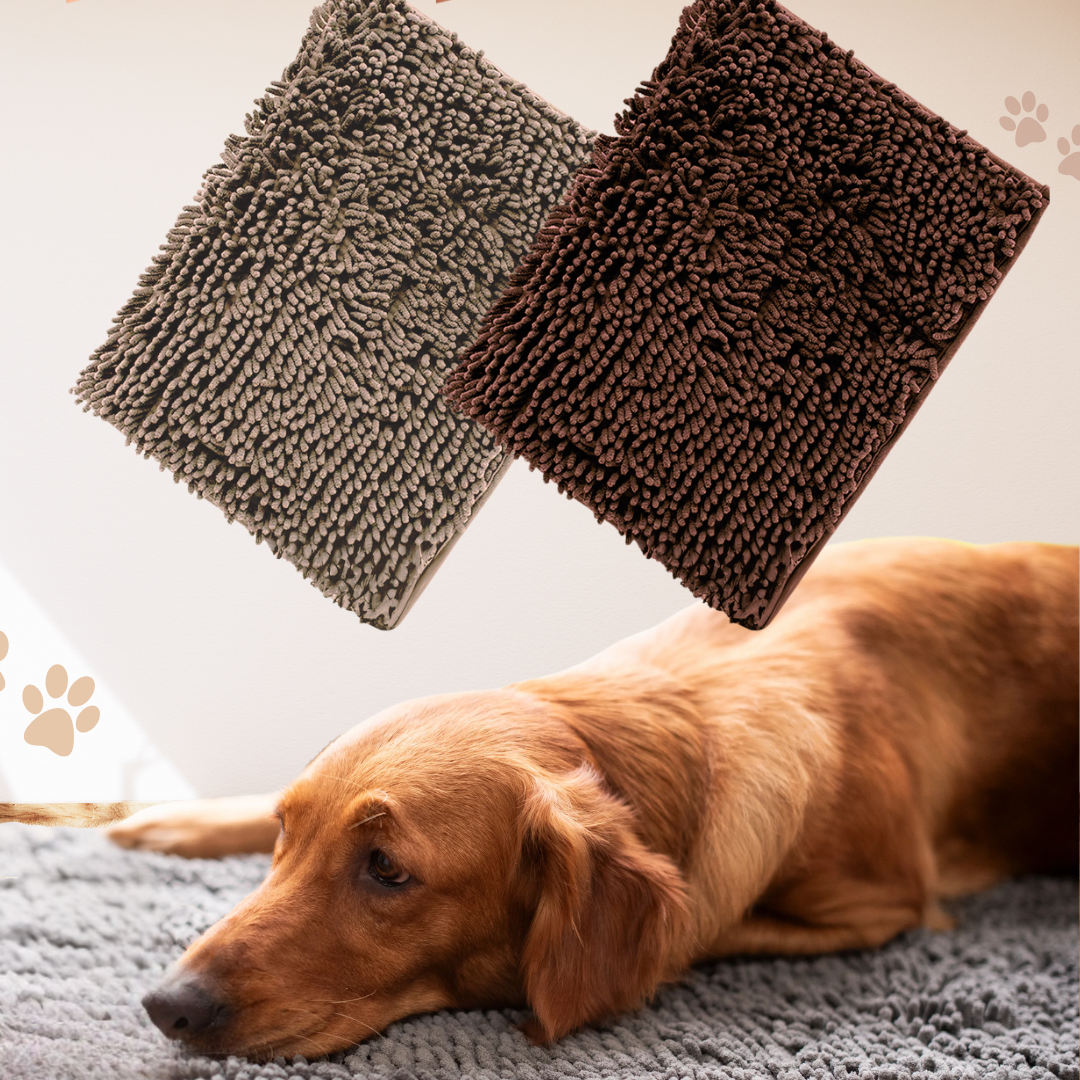 CleanPaw - Nooit meer last van vieze pootafdrukken in huis!