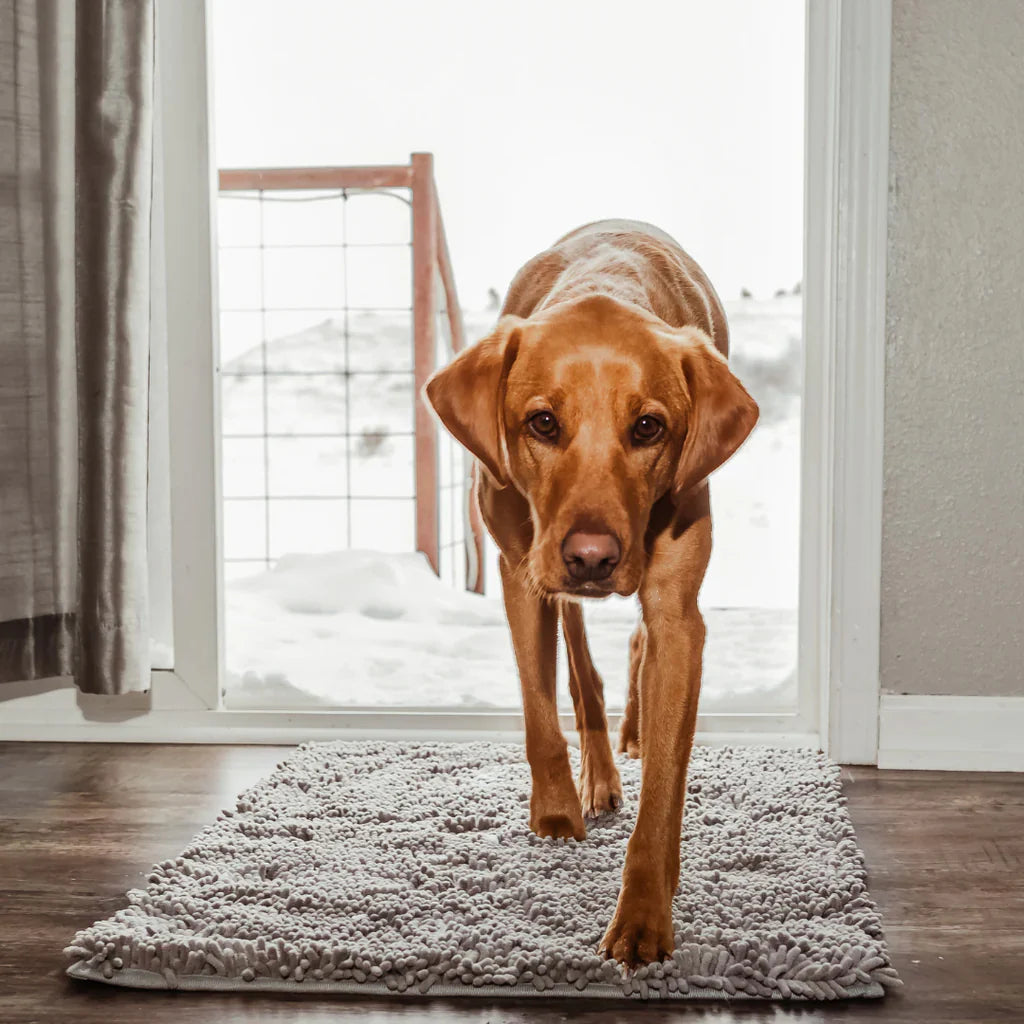 CleanPaw Deurmat - Geen Vieze Pootjes meer in Huis
