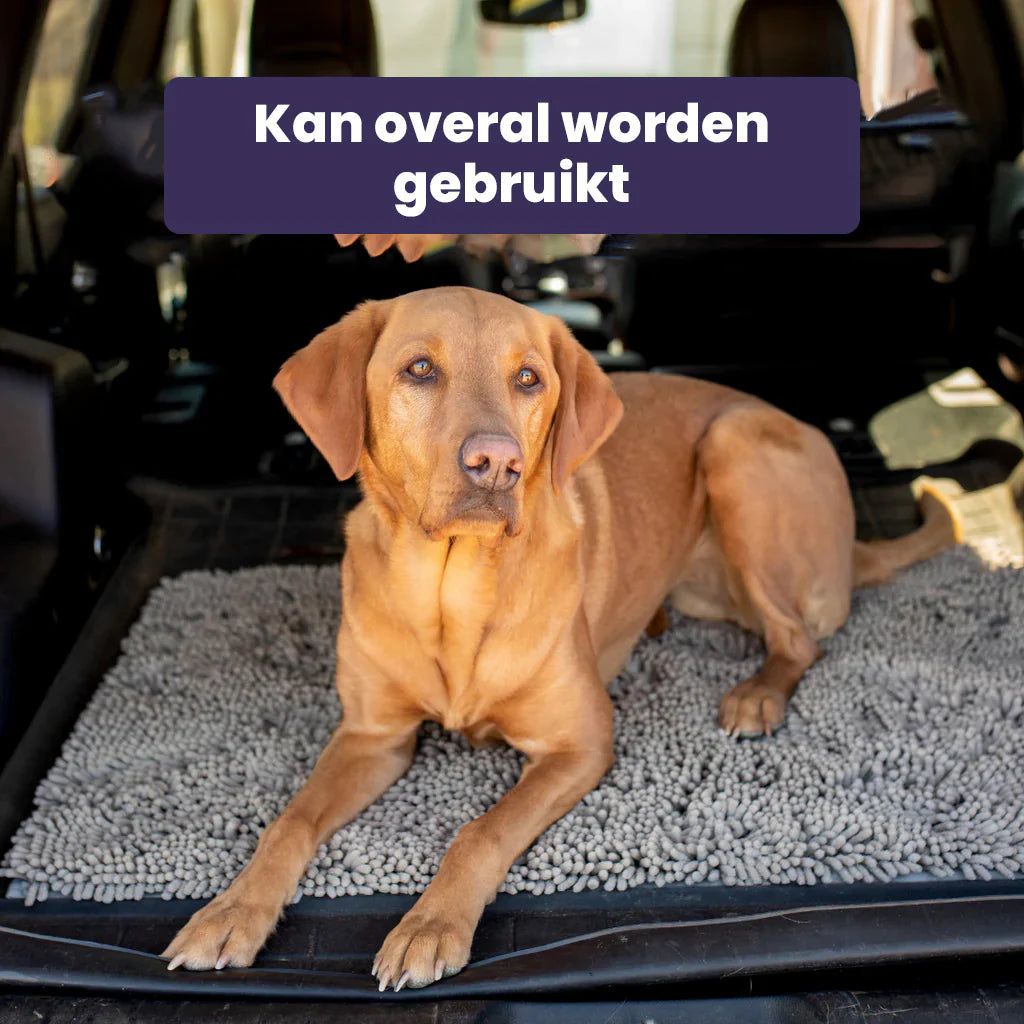 CleanPaw Deurmat - Geen Vieze Pootjes meer in Huis