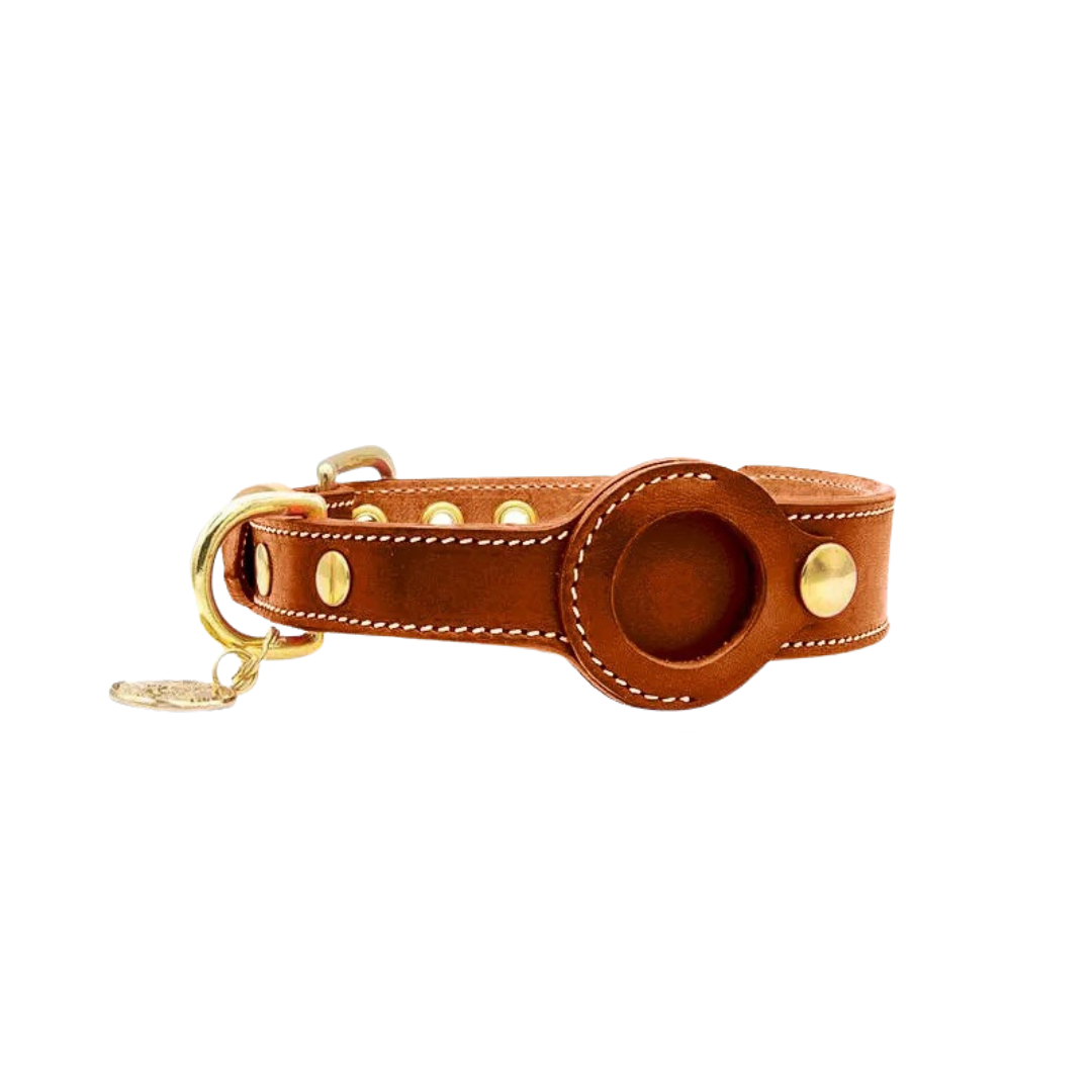 Tracdog⢠- Modieuze AirTag Halsband voor Huisdieren