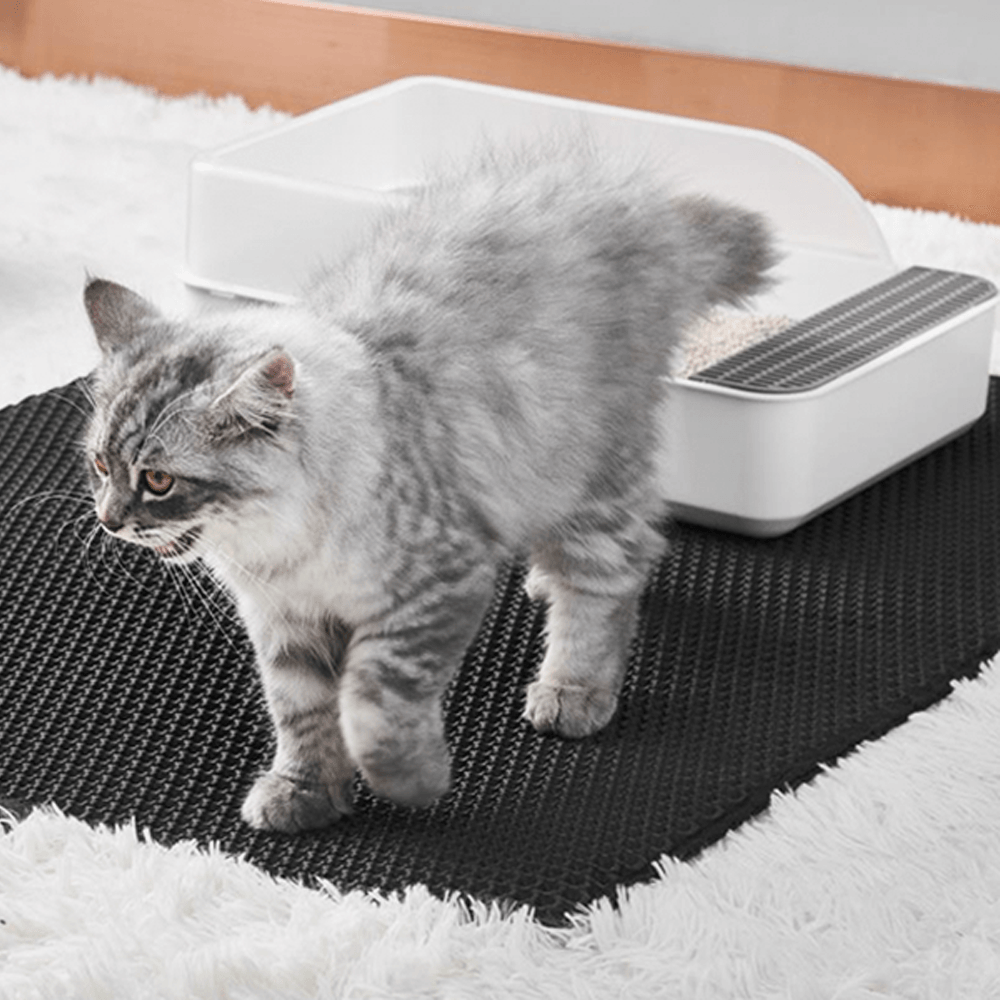 Cat Clean Mat | Nooit meer viezigheid van de kat!