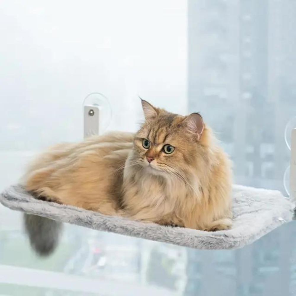 Kattenhangmat - Opvouwbare Kattenhangmat met Zuignappen