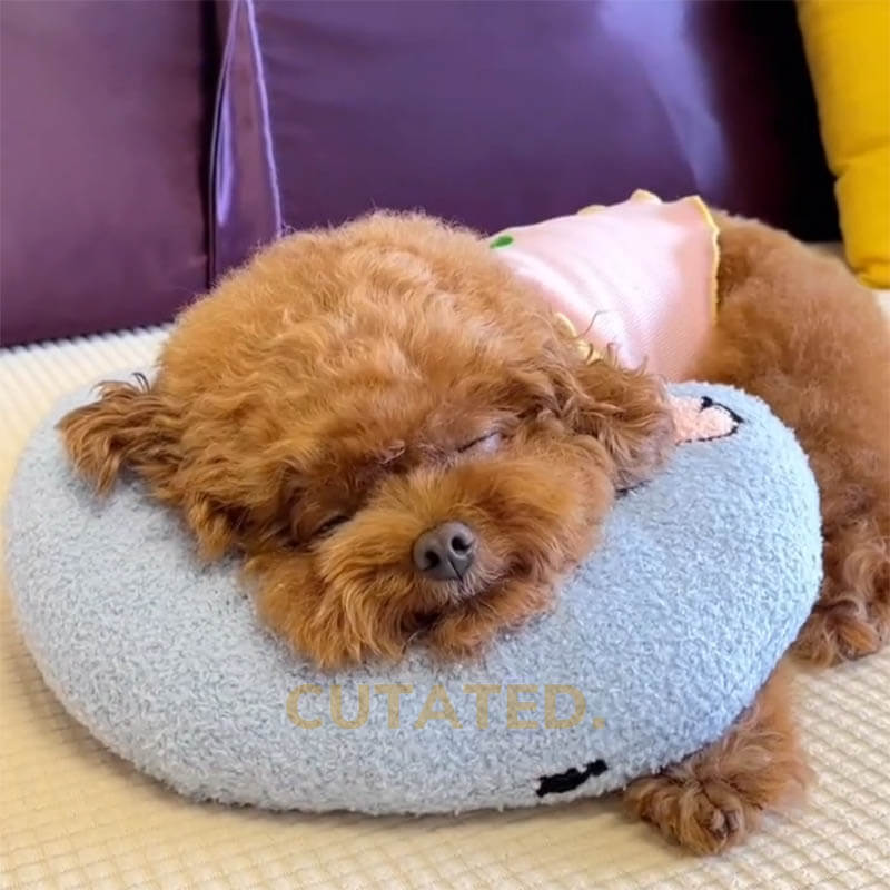 Calm Pillow | Een rustmoment voor je viervoeter