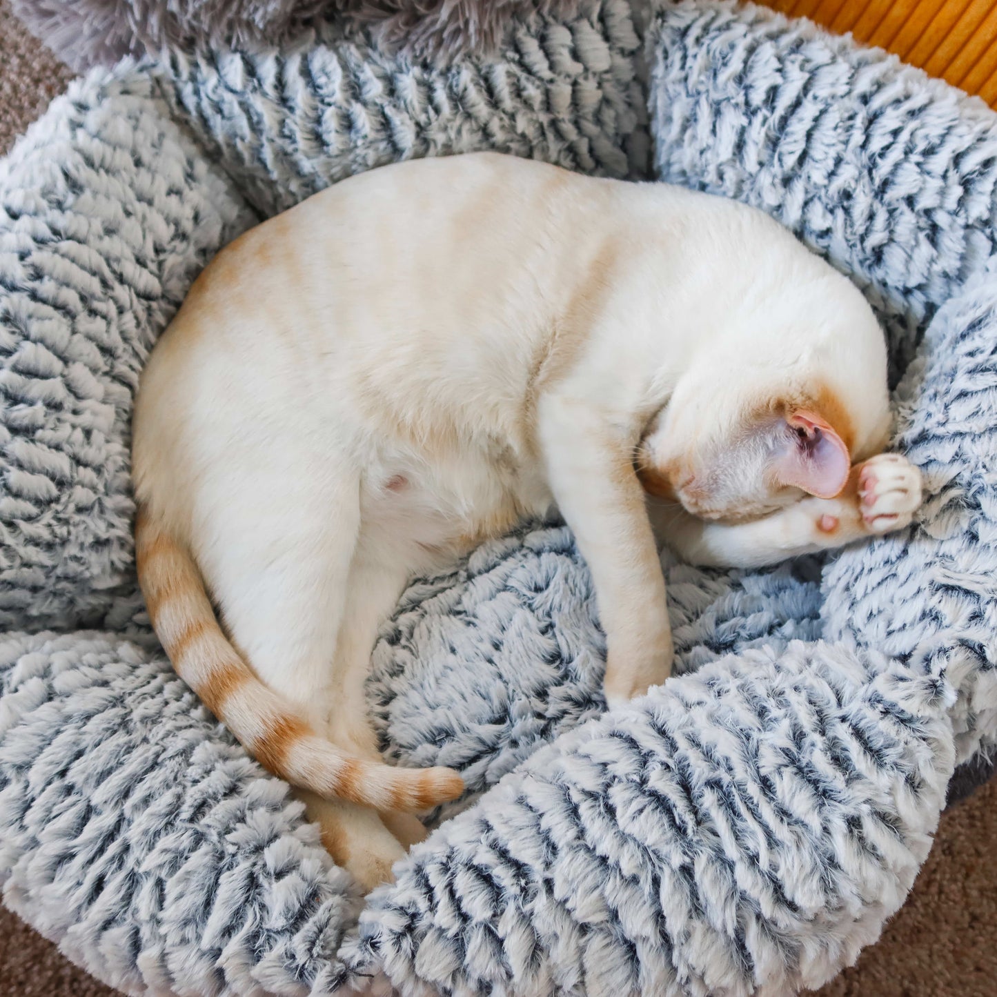 Cloud 9 Stressverlagend Bed voor Gezelschapsdieren