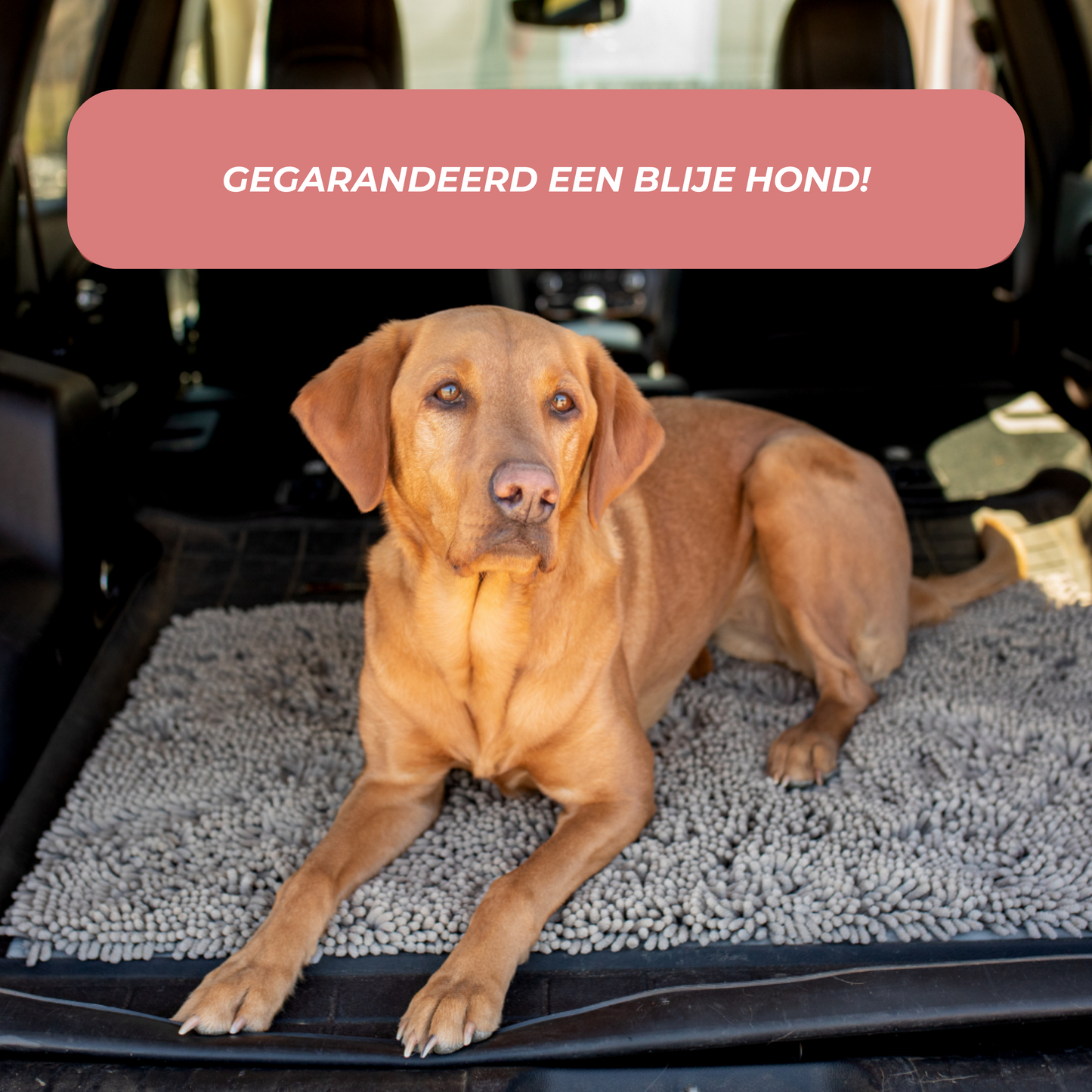 Joep | Hondendeurmat