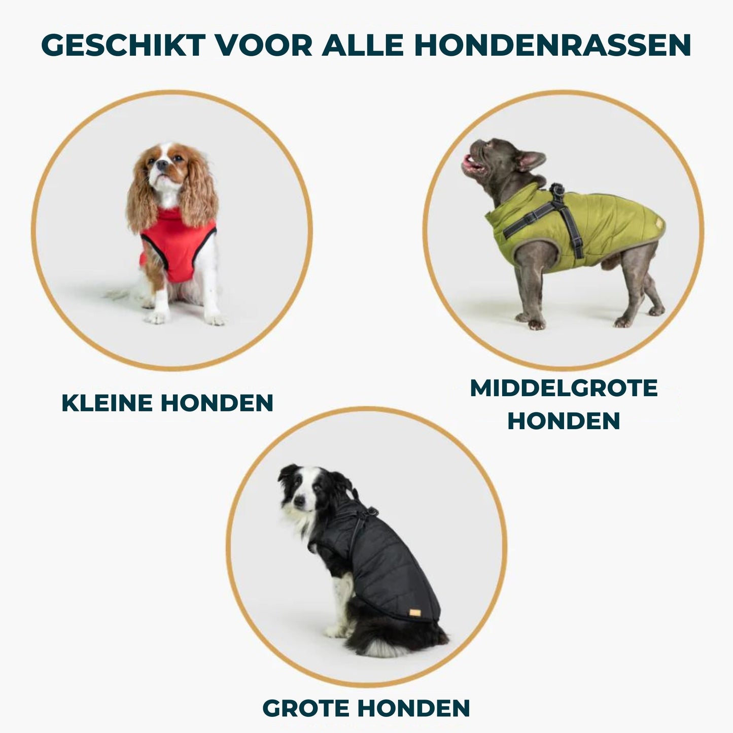 Sandy | hondenjas met Ingebouwd harnas