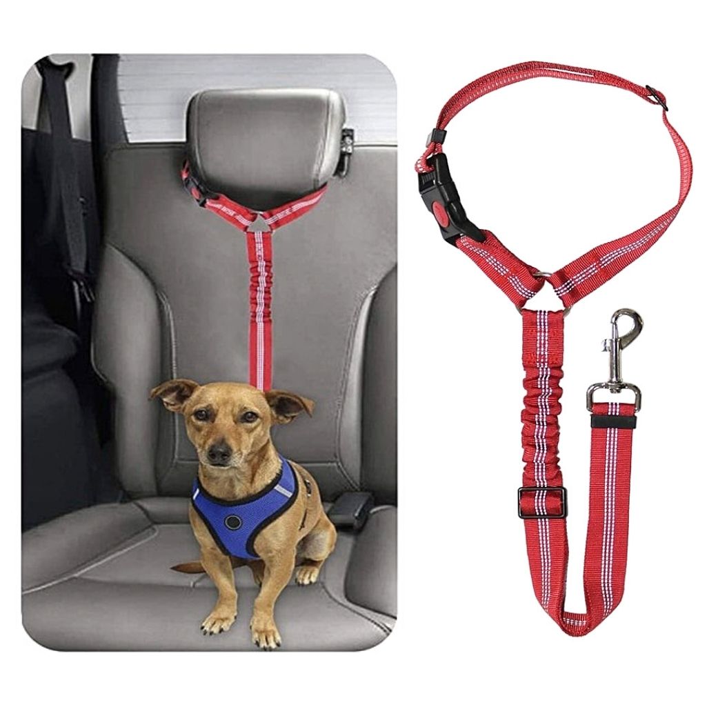 2-in-1 Huisdierstoelriem en -riem - LeashBelt™