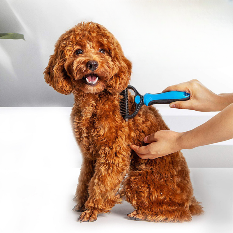 Scratchy | Honden Haren Borstel