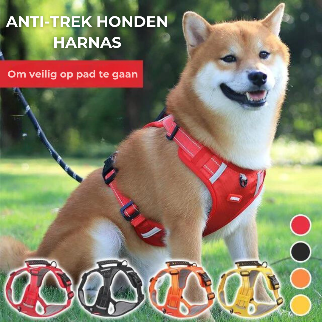Bart | Stevig & Praktisch honden harnas