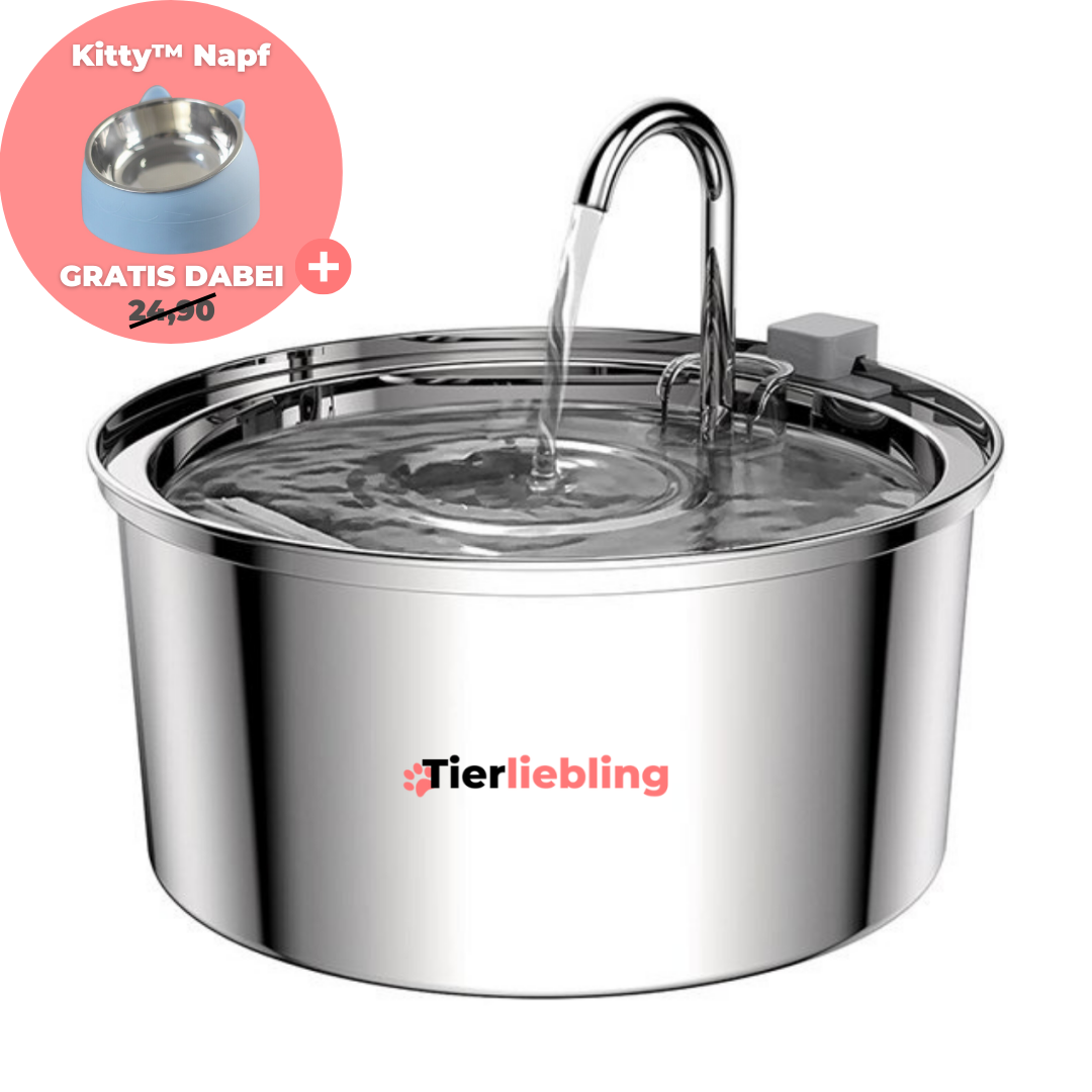 Premium Kitty™ Kattenwaterfontein
