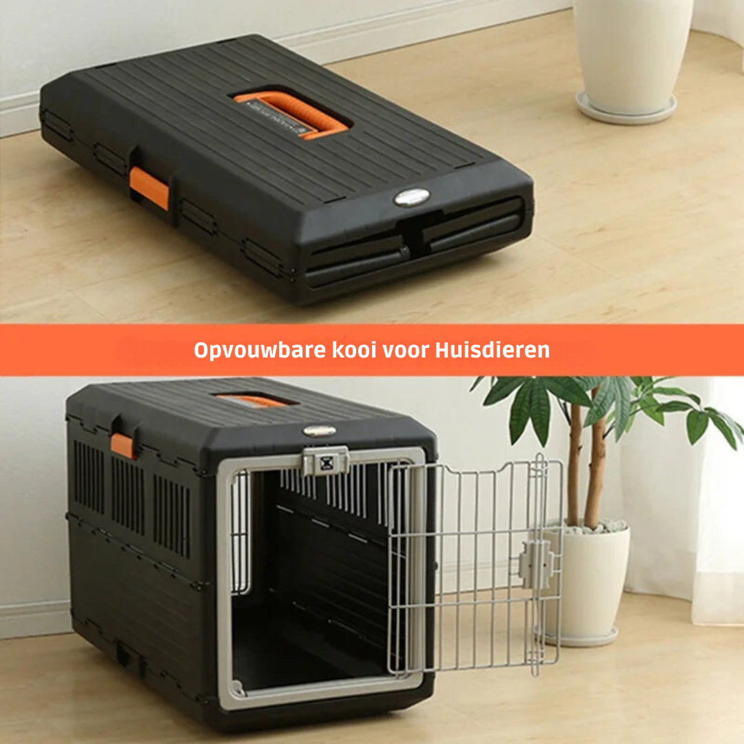 Kees | Reismand voor honden en katten