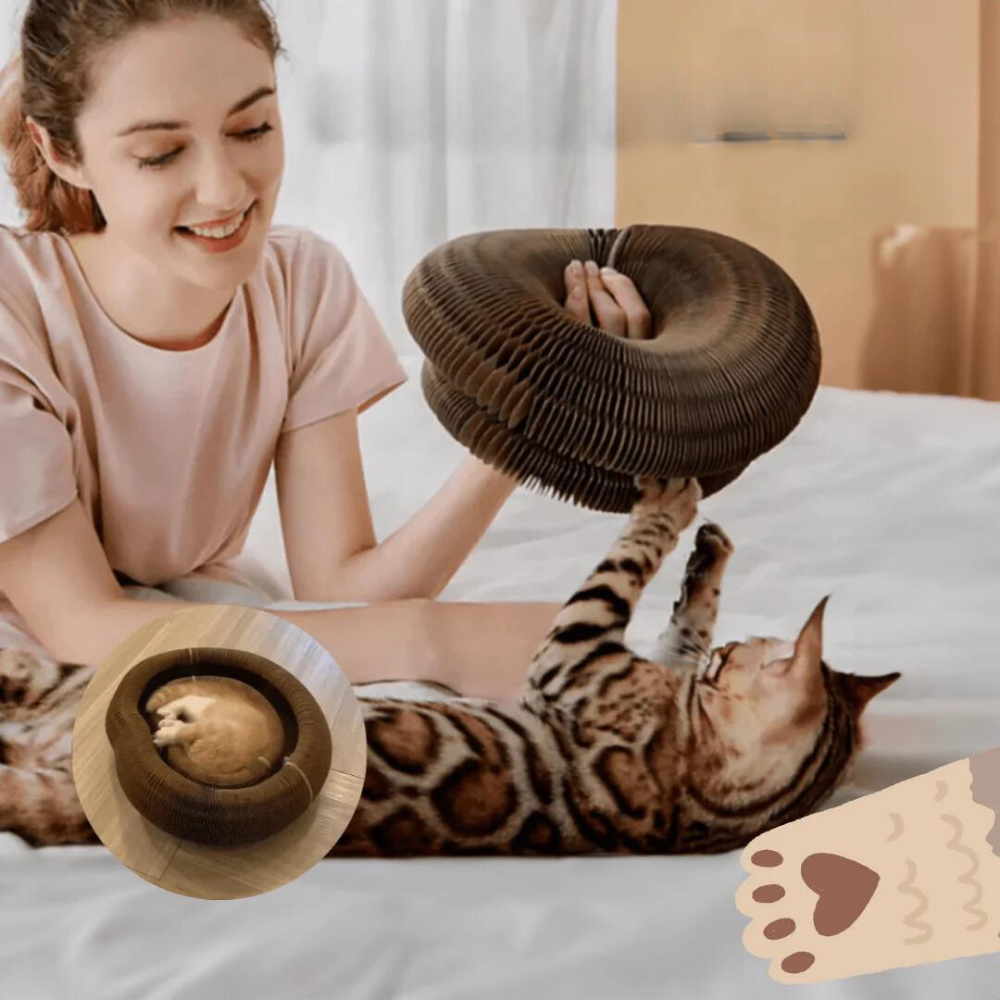Paw Play® - Multifunctioneel Kattenspeeltje