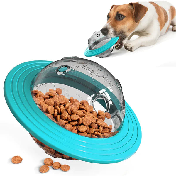 Slow Feeder - Langzame Etensbak 2 in 1
