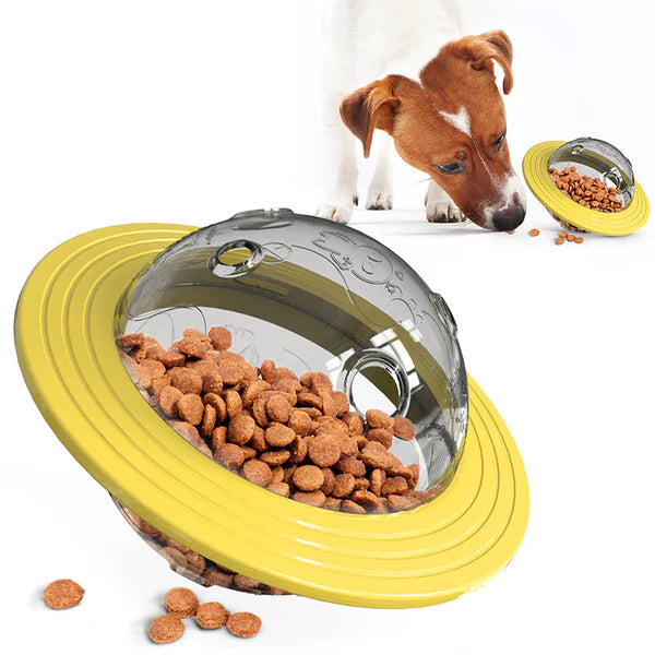 Slow Feeder - Langzame Etensbak 2 in 1