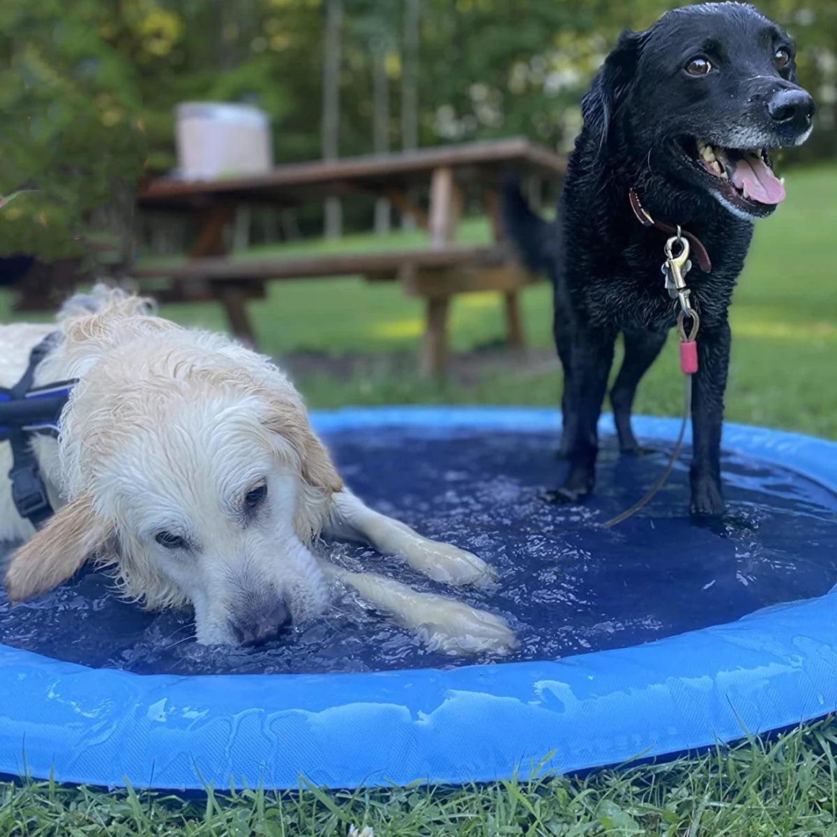 PawSplash - Afkoelmat voor honden