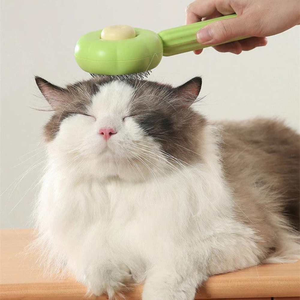 PawBrush - Je huisdier borstelen was nog nooit zo makkelijk!