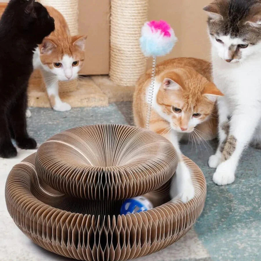 Paw Play® - Multifunctioneel Kattenspeeltje