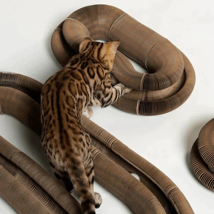 Paw Play® - Multifunctioneel Kattenspeeltje
