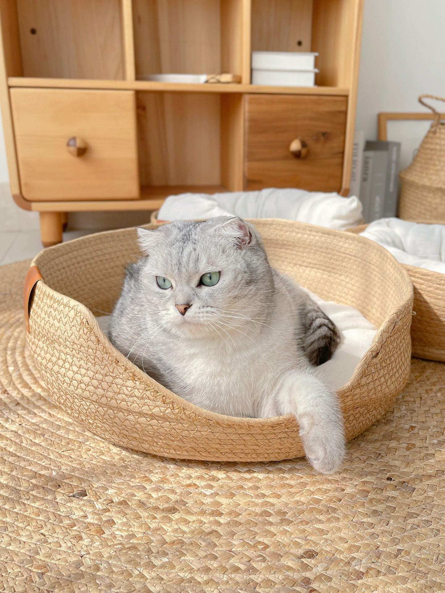Lucas | Comfortabel bedje voor katten