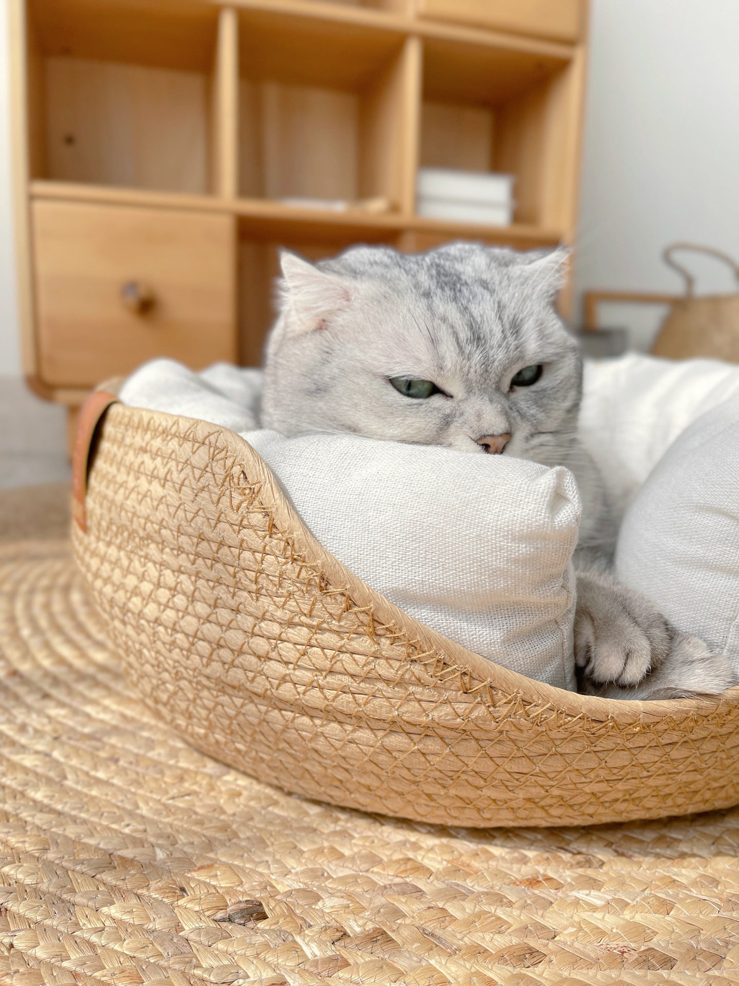 Lucas | Comfortabel bedje voor katten