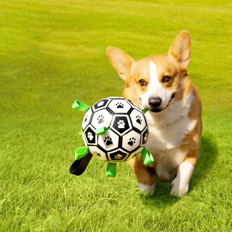 Jack | Interactieve honden bal