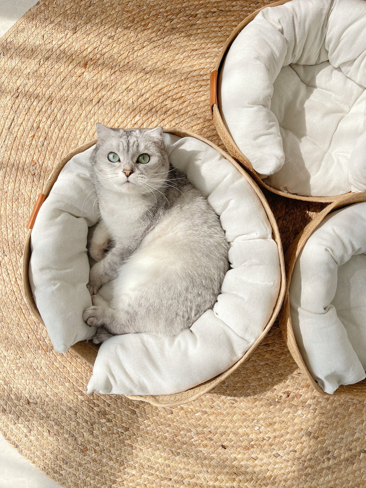 Lucas | Comfortabel bedje voor katten