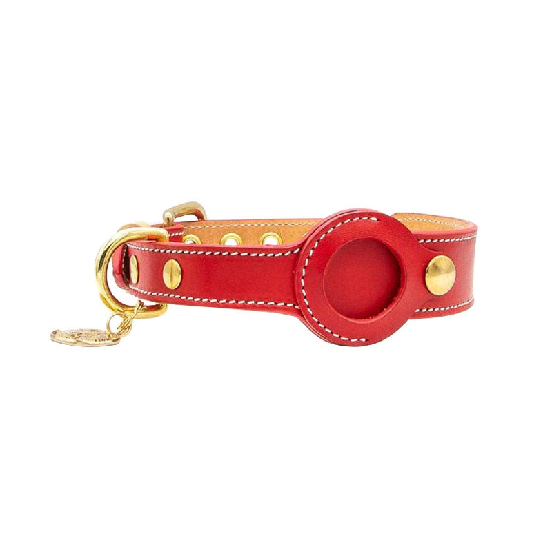 Tracdog⢠- Modieuze AirTag Halsband voor Huisdieren