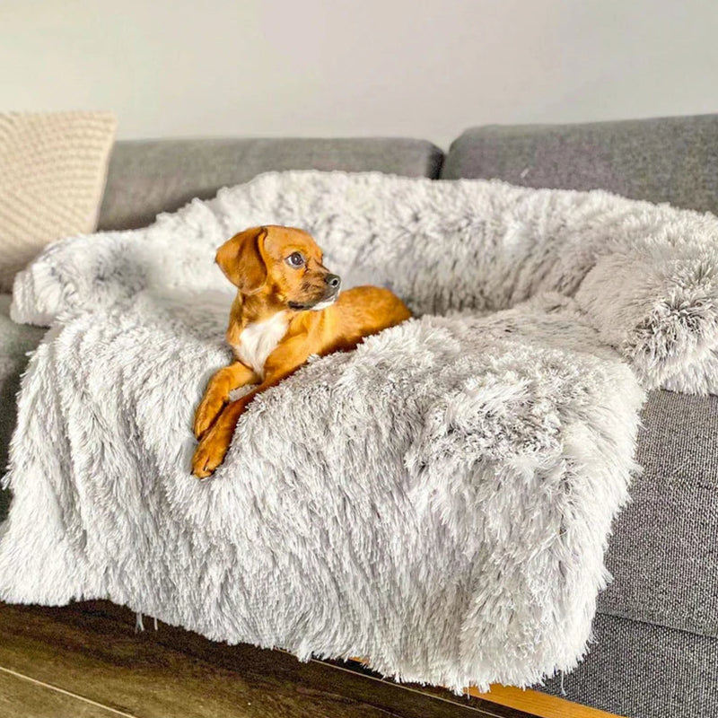 Luna | Grootte Meubelbeschermer en Hondenmand