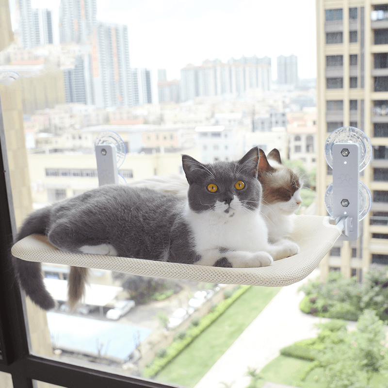 Cat Lounge | Praktische ontspanplek voor je kat!