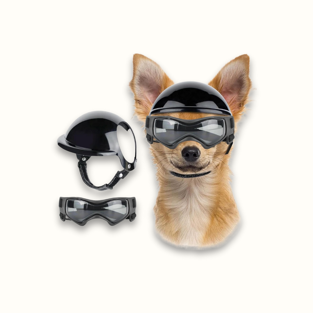 HelmPup - Beschermende Hondenmotorhelm Set