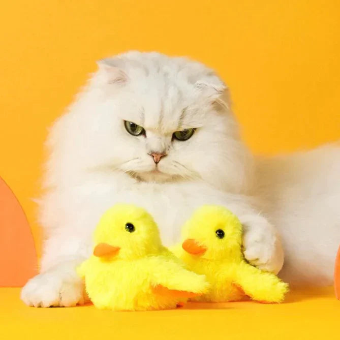 Ducky | flappend speelgoed