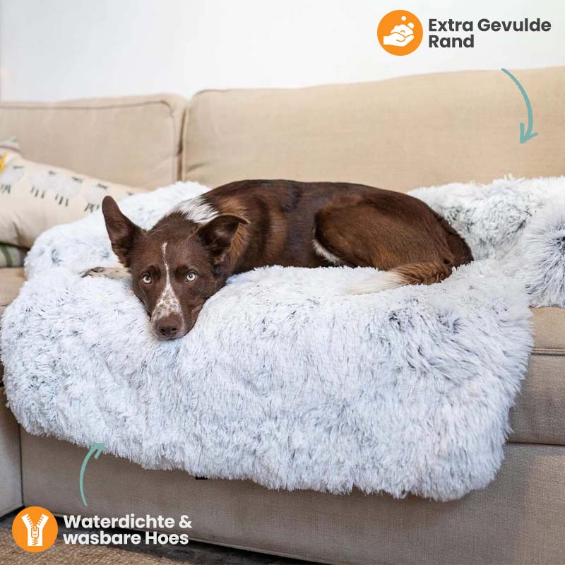 Luna | Grootte Meubelbeschermer en Hondenmand