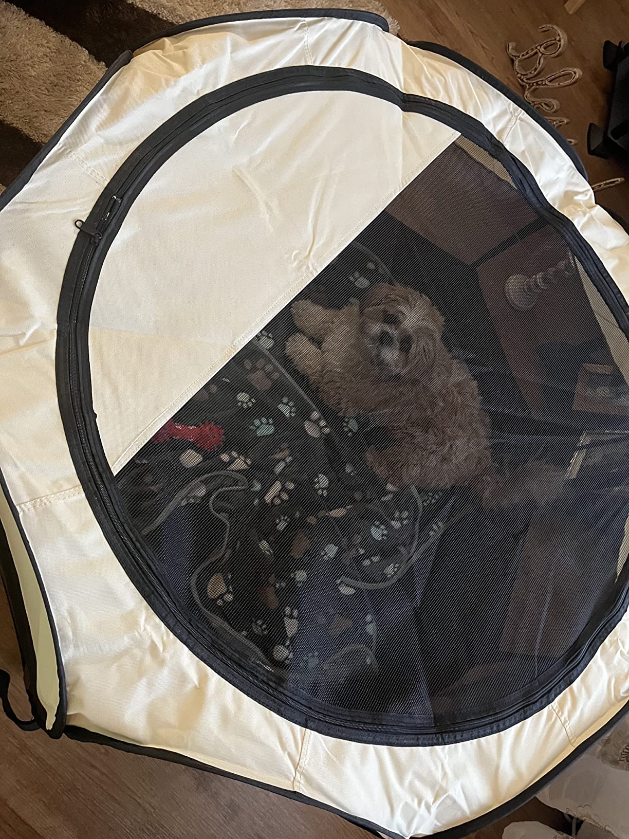 Skippy | Buitentent voor huisdieren