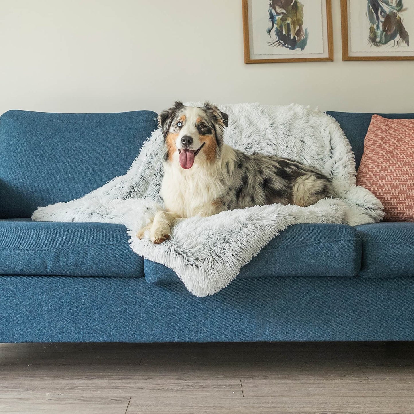 Buddy | Kalmerende Deken