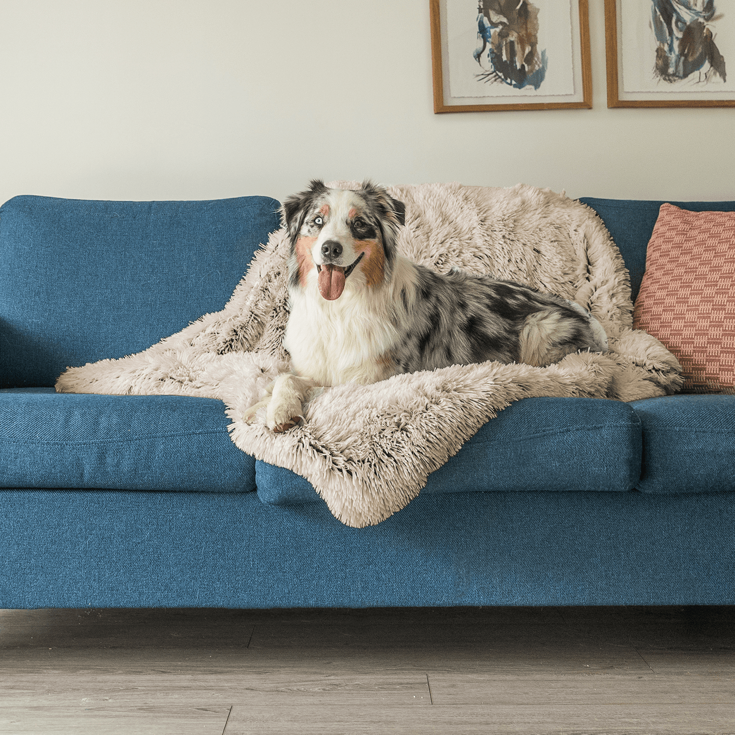 Buddy | Kalmerende Deken
