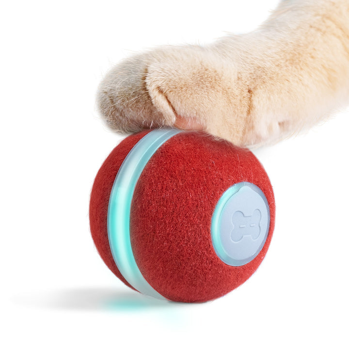 CheerbleĀ® Bal 2.0 - Het Ultieme Interactieve Speelgoed voor Jouw Perfecte Vriend