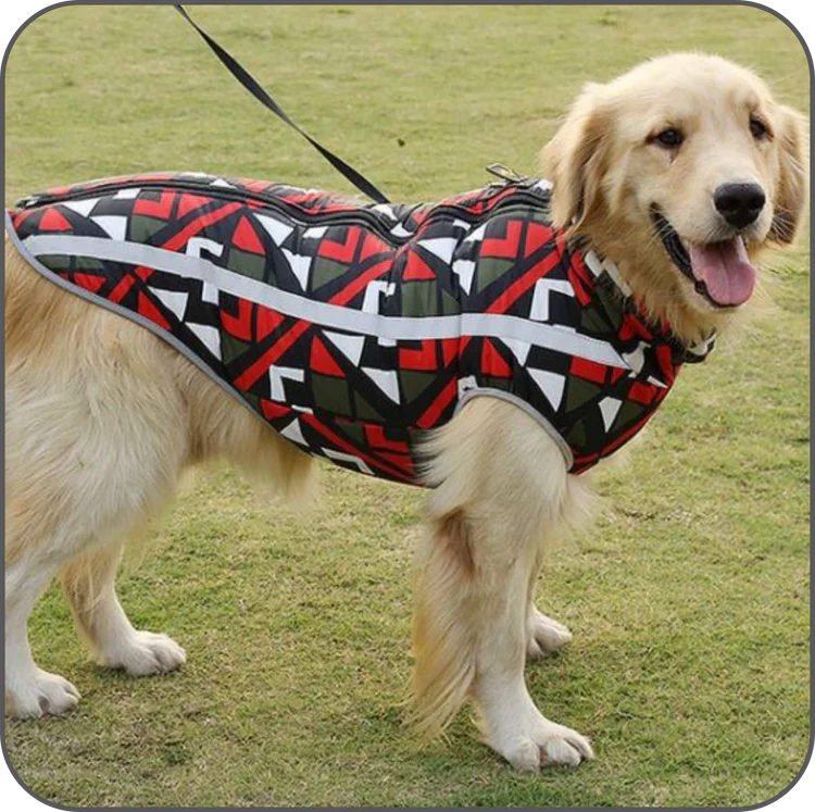 Jack - Waterdichte winterjas voor honden