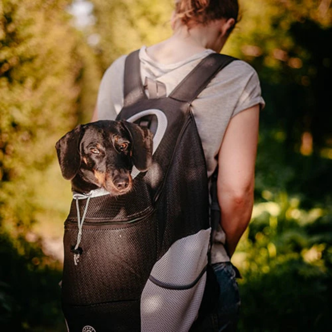 BackPaw - Handsfree Hondendraagtas