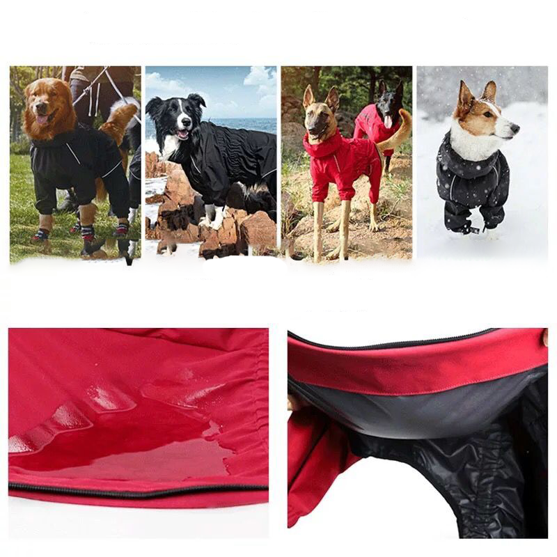 DryPup - Houdt je hond schoon droog beschermd