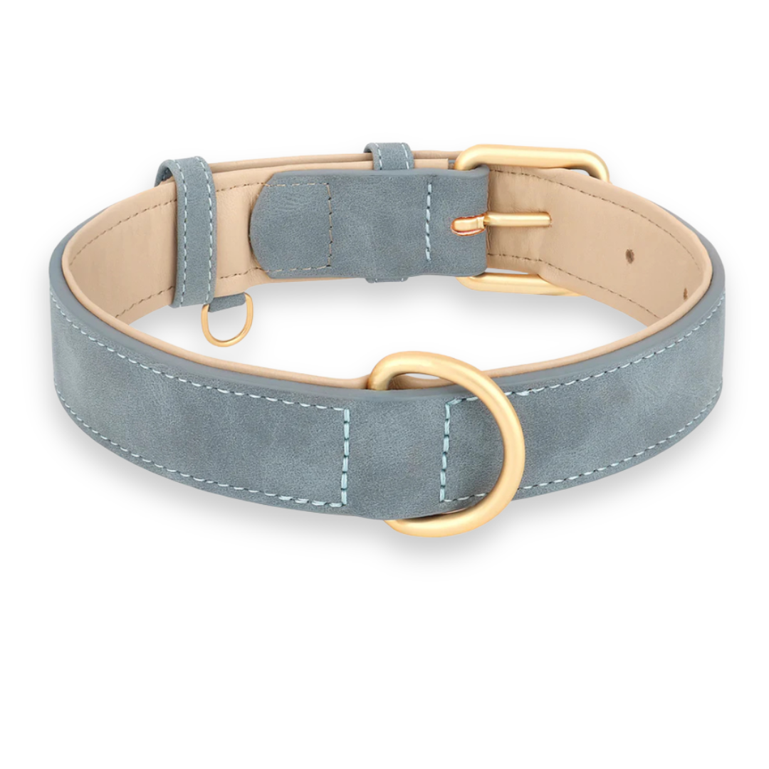ChicLeash - Sterke Leren Hondenhalsband