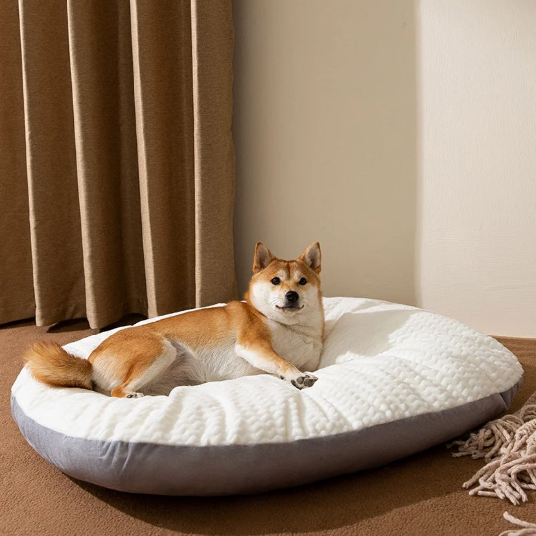 PawVana - Orthopedisch Stevig Huisdierenbed