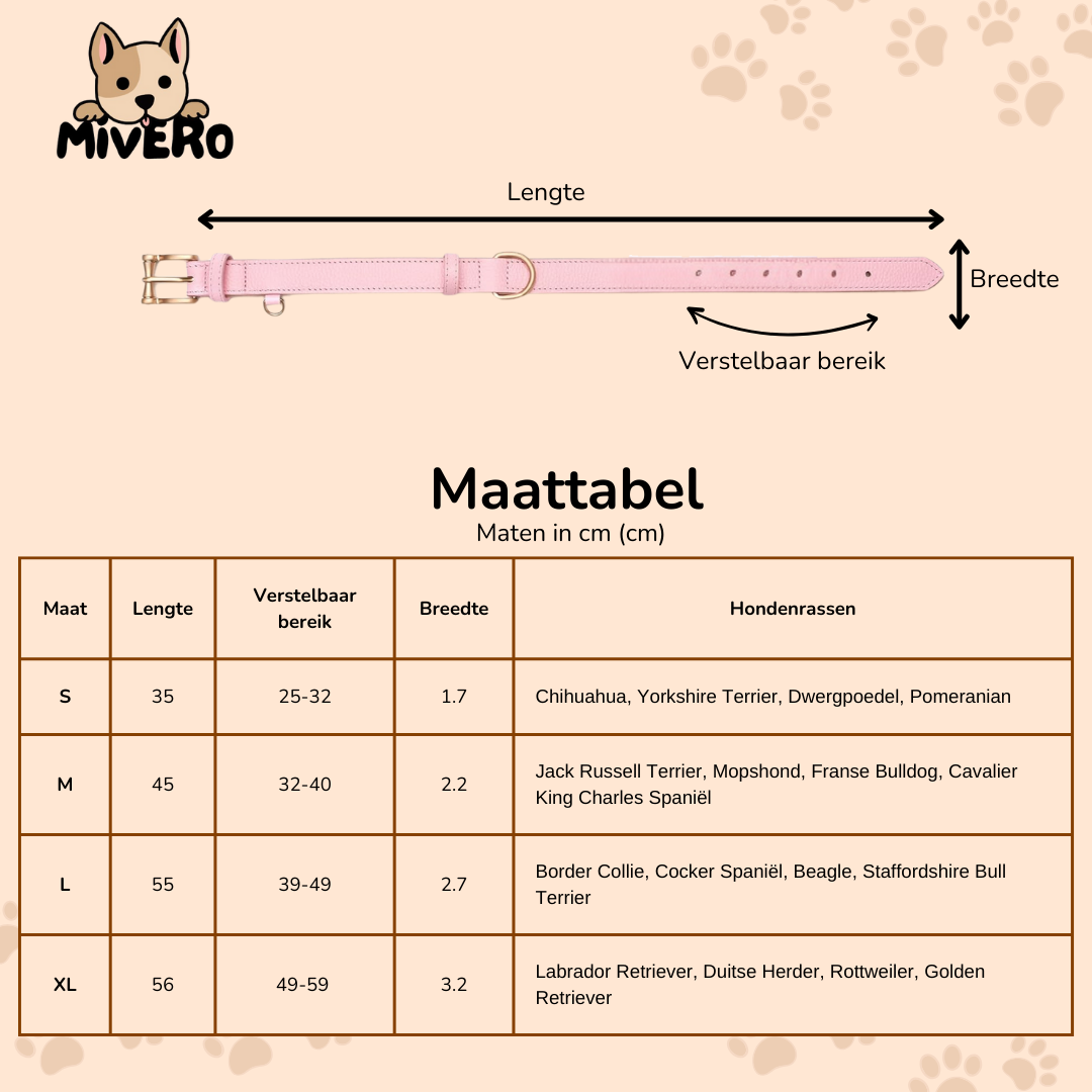 ChicLeash - Sterke Leren Hondenhalsband