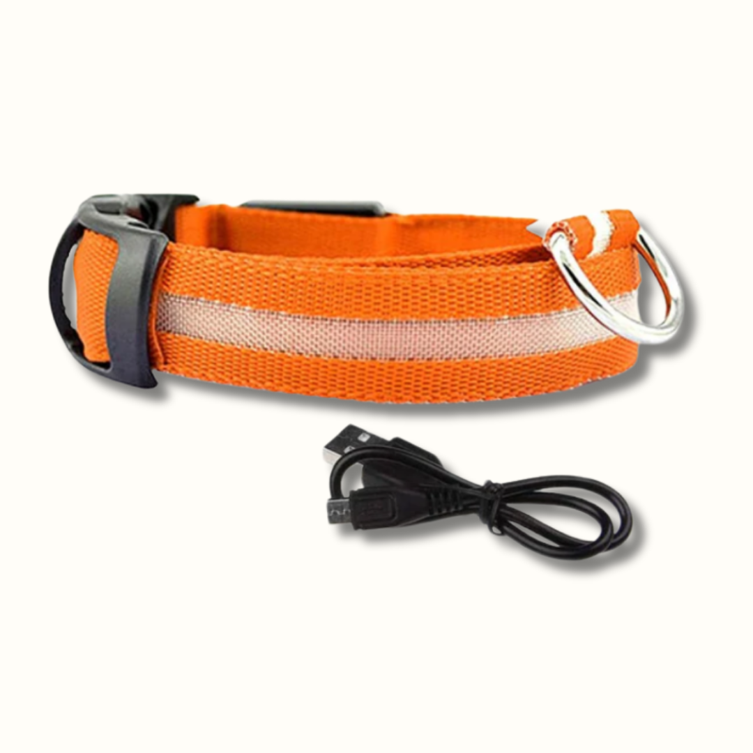 GlowPup - Oplaadbare LED Halsband
