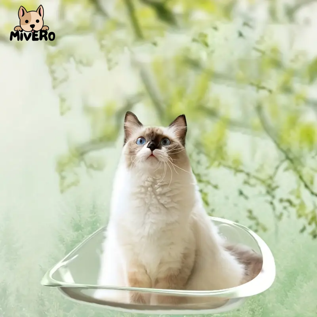 CatCradle - Zonder Koorden Kattenhangmat
