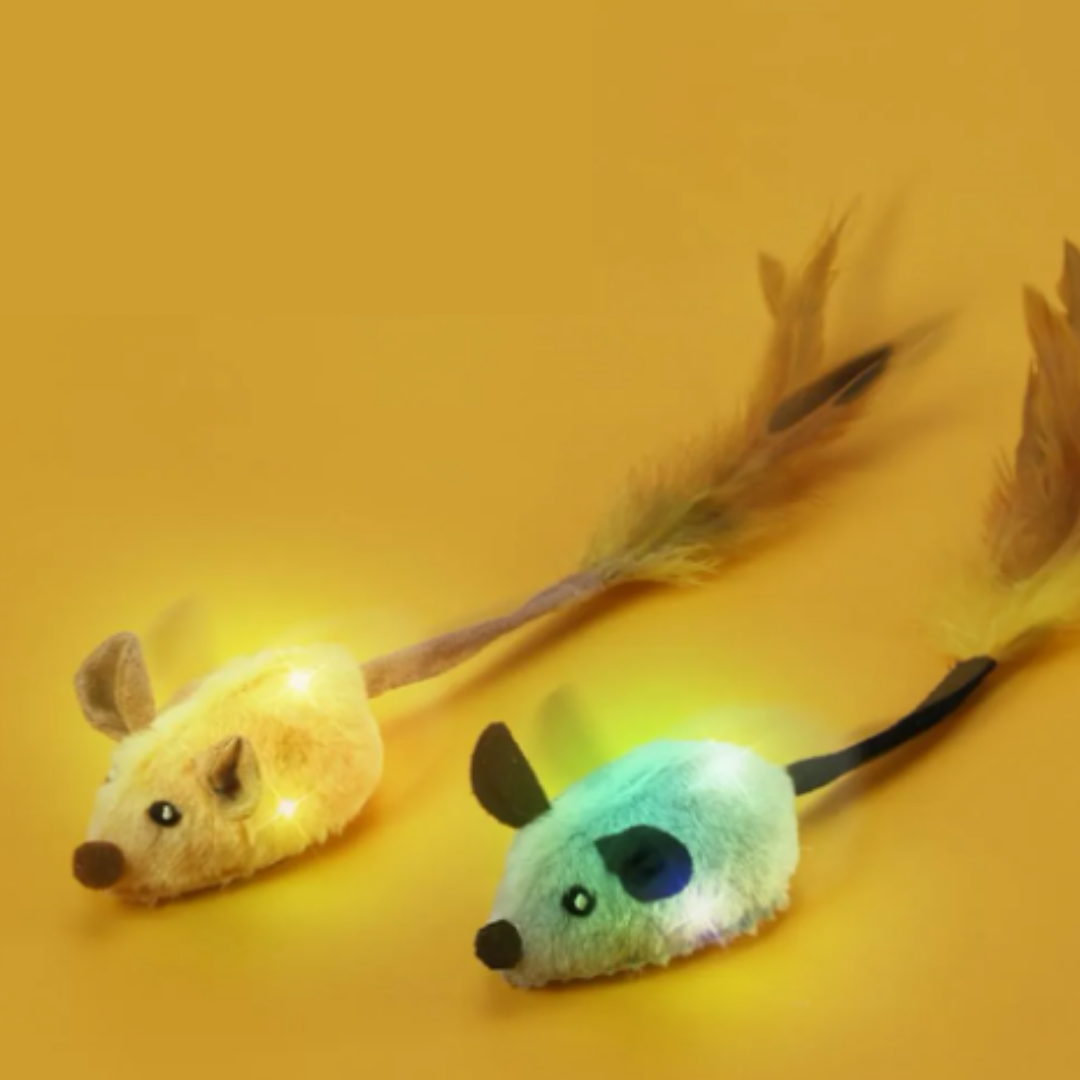 Chirpster - Interactief Chirpend Kattenspeeltje