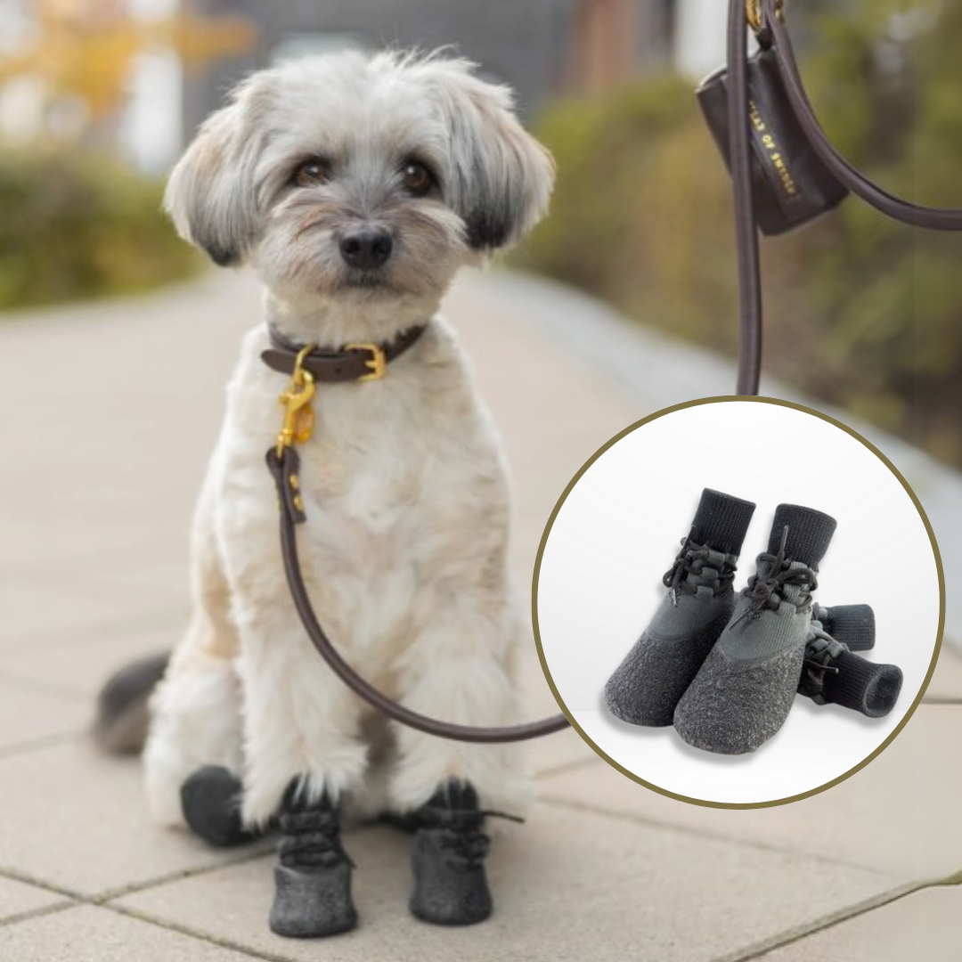 PawGrip - Waterdichte Antislip Hondenschoenen