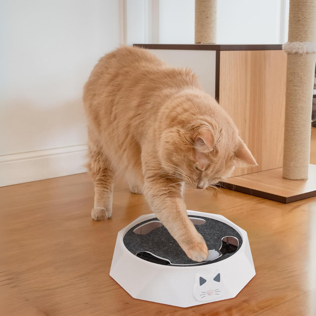 PurrChase - Interactieve Beweeglijke Kattenspeelgoed