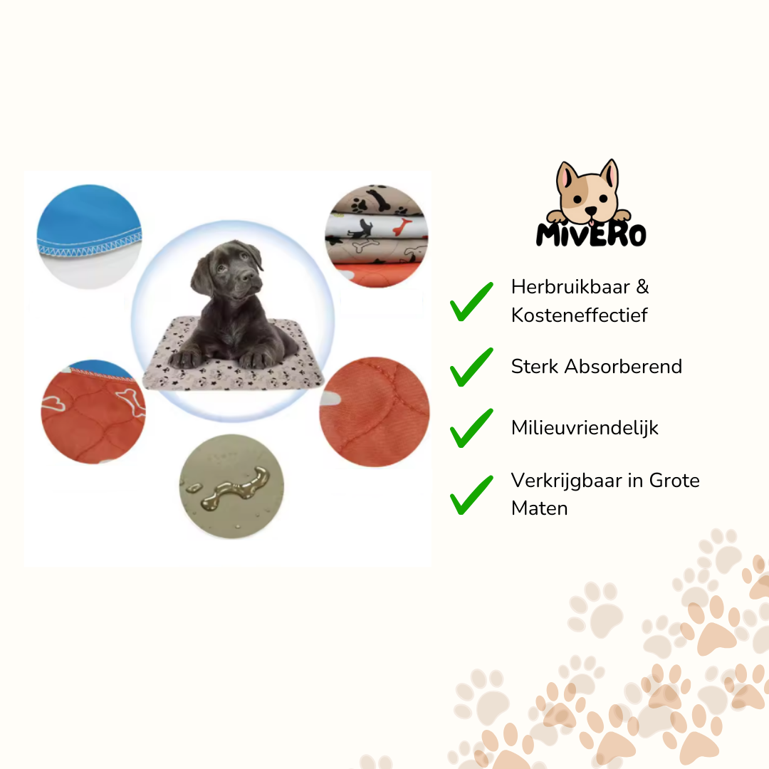 AbsorbEase - Herbruikbare Lekvrije Pethoezen