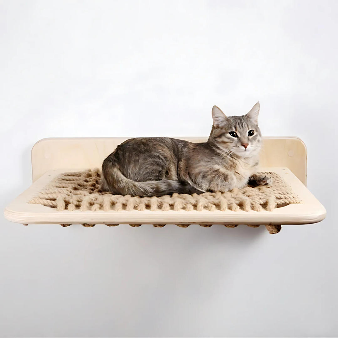 CatZen - Stabiele Wandplank Kat